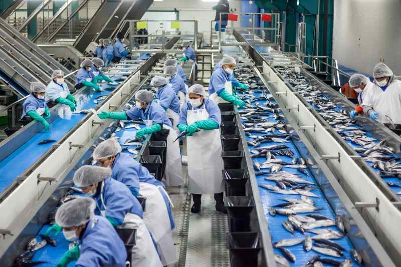 How Seafood Producers Are Adapting to Higher Sustainability Standards